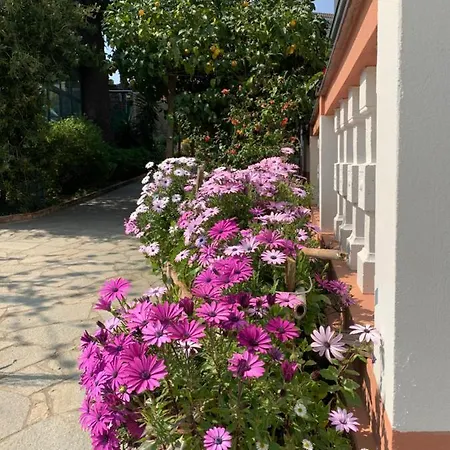 Rosa Maria Σαβόνα